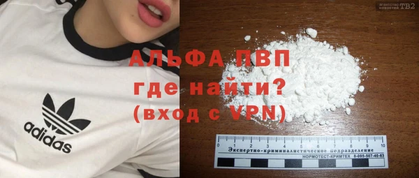 сатива Богданович