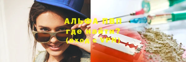 сатива Богданович
