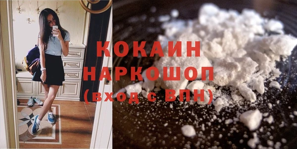 сатива Богданович