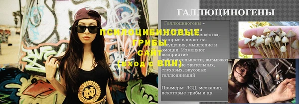сатива Богданович