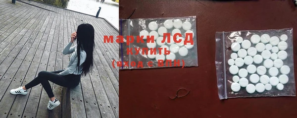 сатива Богданович