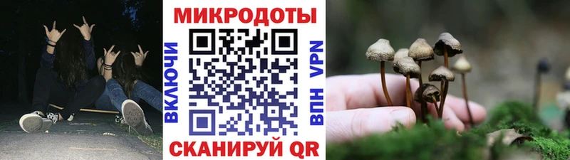 MEGA ТОР Морозовск Псилоцибиновые грибы MAGIC MUSHROOMS